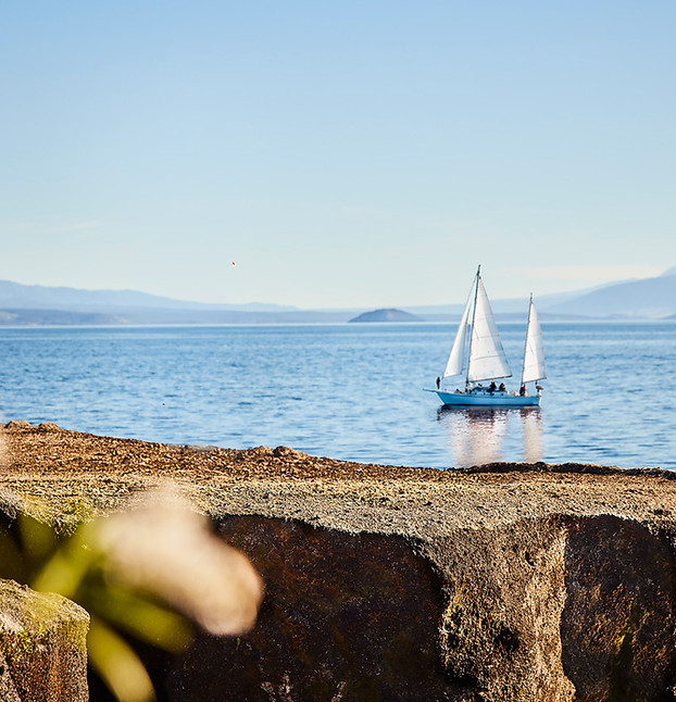 Sail Barbary boat cruise on calm blue water viewed from a rocky shore