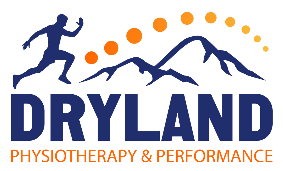 Full colour Dryland Physiotherapy & Performance logo featuring a runner, mountain range and sunrise above the business name.