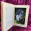 Thumbnail: Can't See Book Terrarium