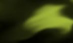 shutterstock_2670168745_Green.jpg
