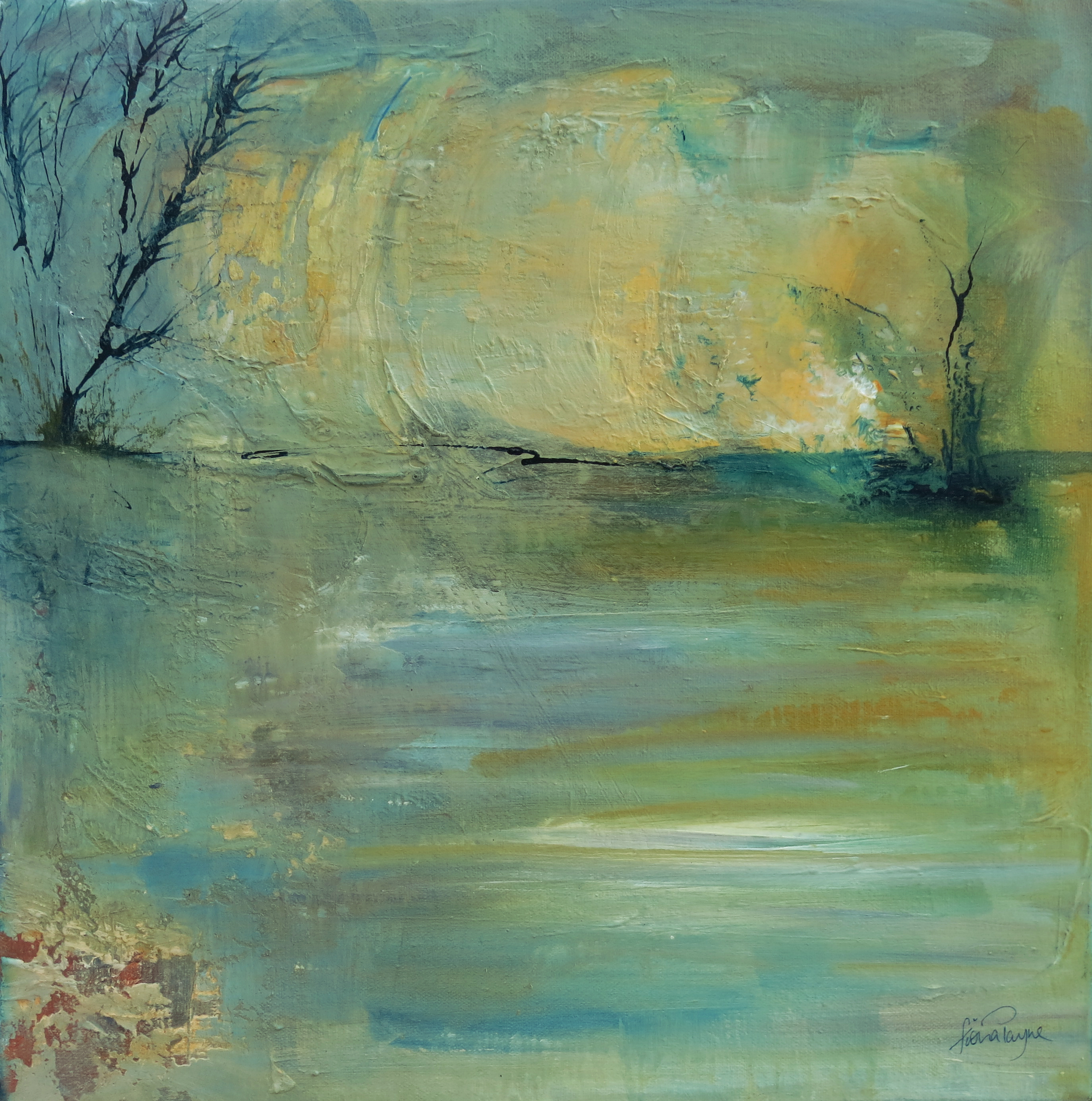 "Cannock Chase"
