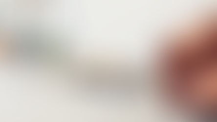 猫たちの好みに合うものを