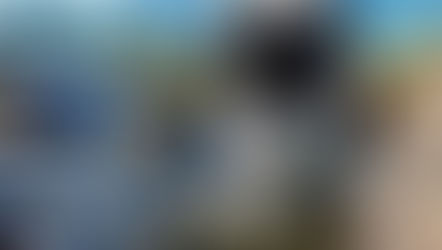 お水のことも忘れないで!