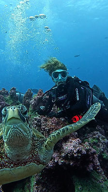 GPTempDownload 3.JPG