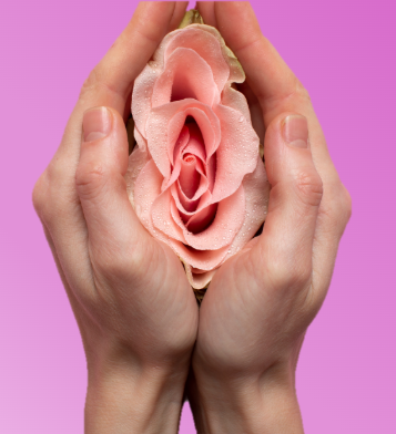 Flower image with hands cupped around it