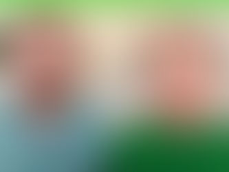 Die Kongress-Veranstalter Boris und Katharina Seedorf