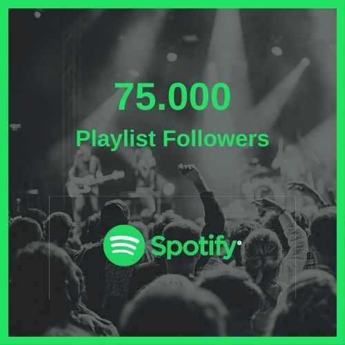 Spotify Marketing Service 75k Playlist Followers Moonstrive Media