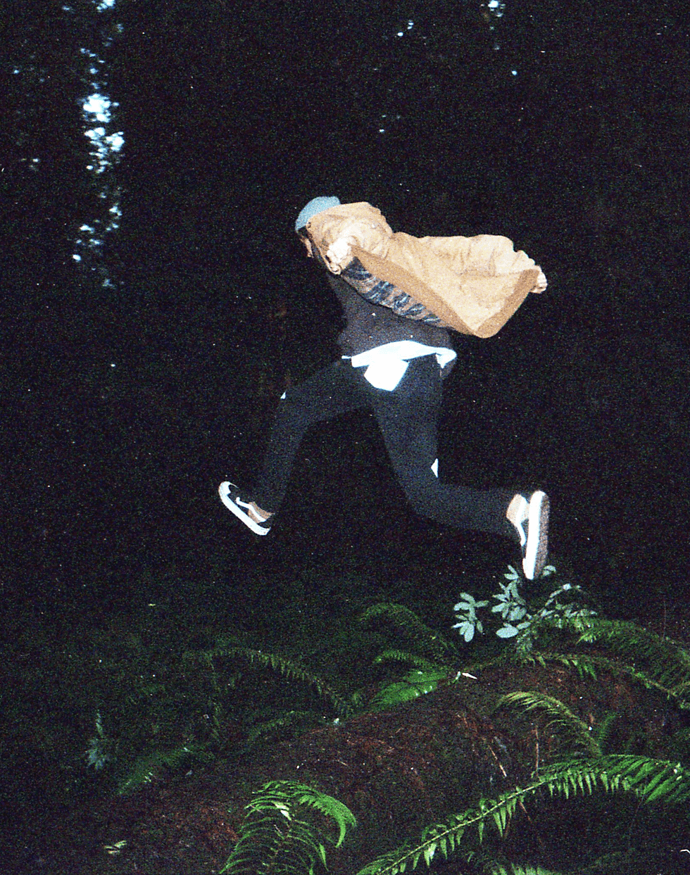 DylFly.gif