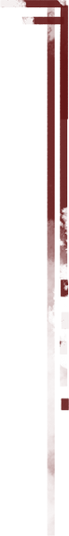 nym_graphics_asset_2.png