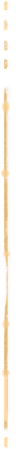 numenua_graphics_asset_3.png