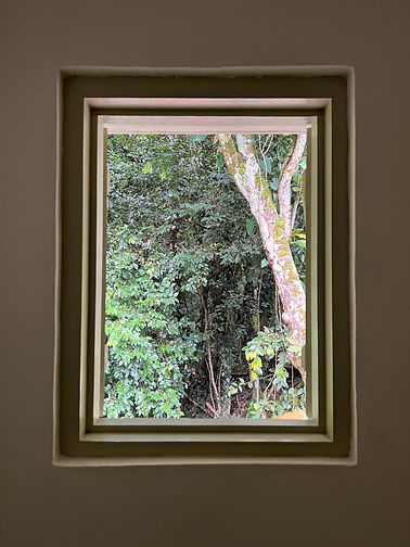 Will_Jackson-Nichols_Window.jpeg