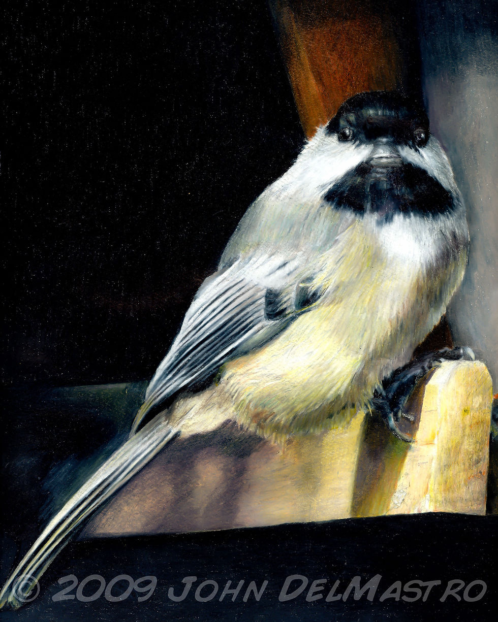 Attitude - the chickadee