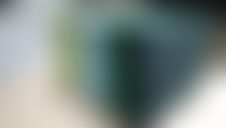 Коли дерева були великими