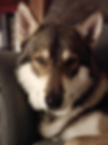 0ma000000.png