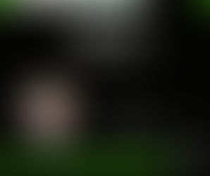 Simon's Mission Update