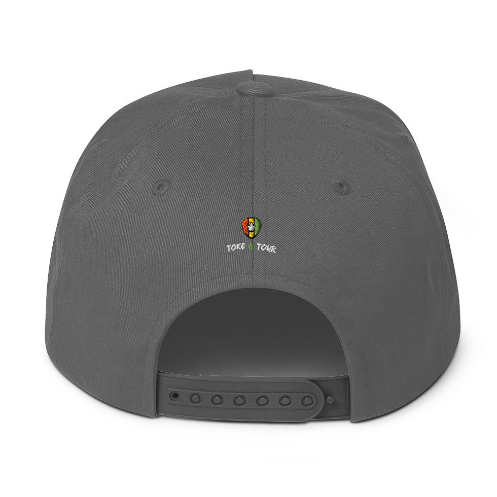Thumbnail: DOPE | Flat Bill Hat  copy