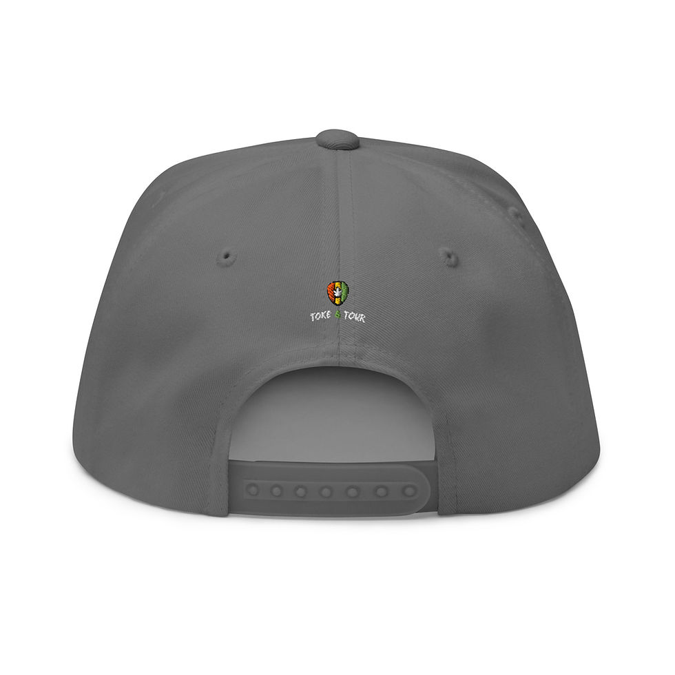 Thumbnail: DOPE | Flat Bill Hat 