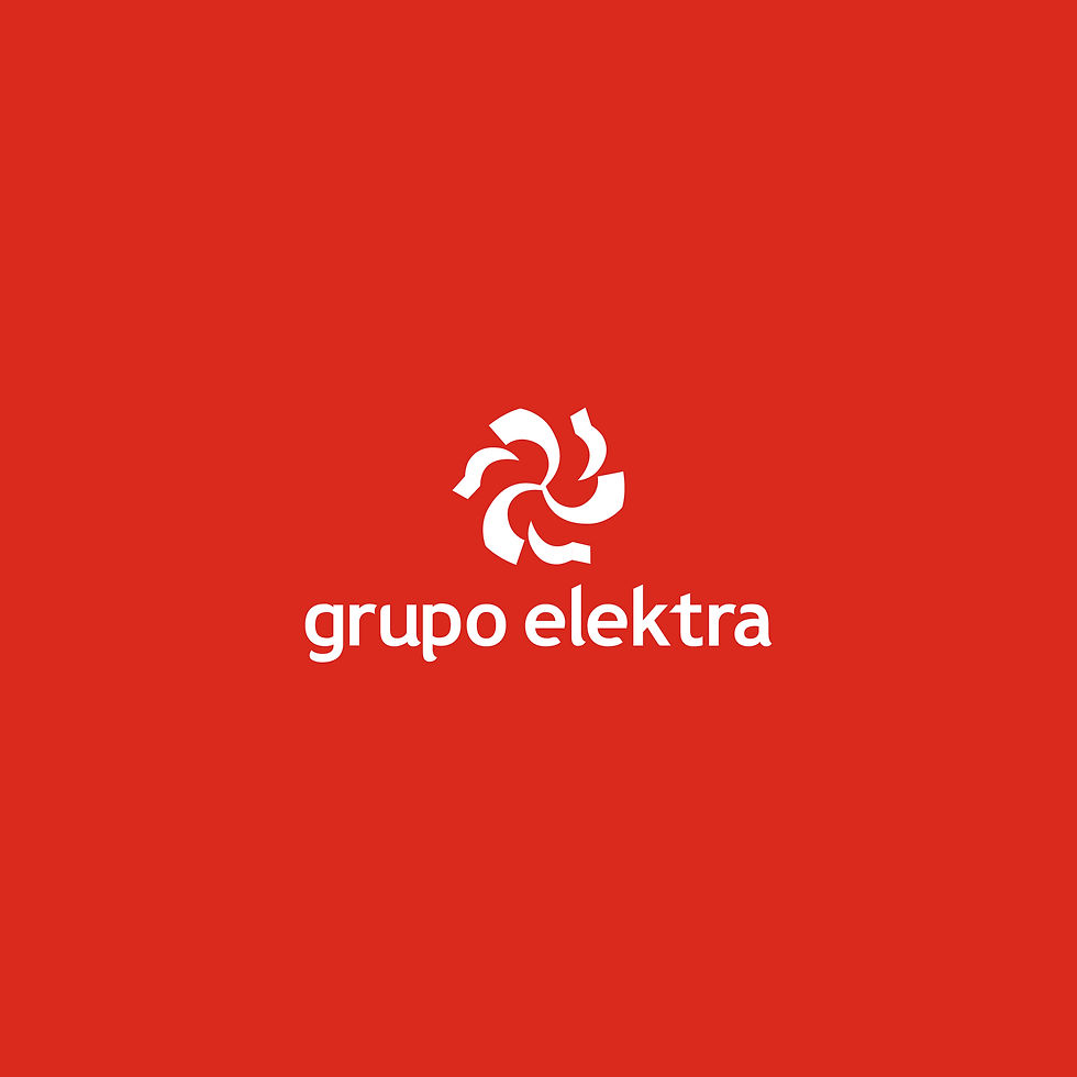 RGE_Manual-Logo_Mesa de trabajo 1.jpg