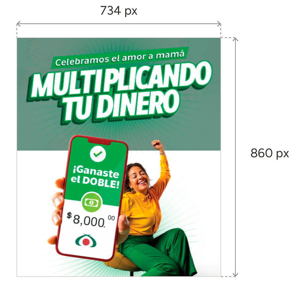 RGE_Manual-Lector-Documentos-03.jpg