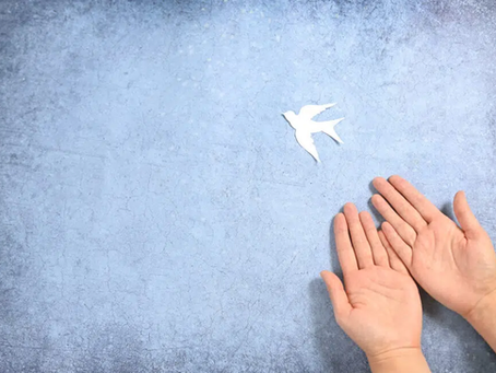 Día Mundial de la NO Violencia, la Paz y la Reconciliación