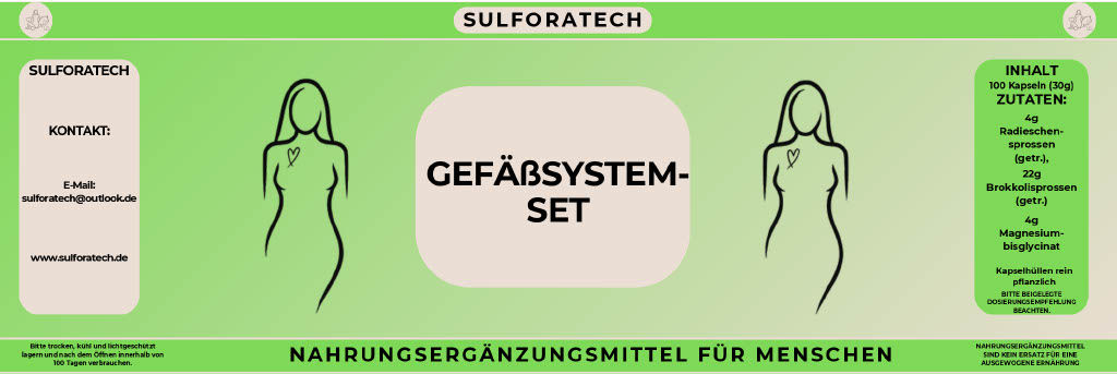 Gefäßsystem-Set Mensch
