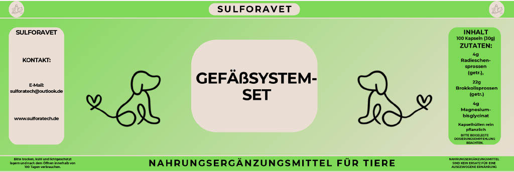 Gefäßsystem-Set Hund