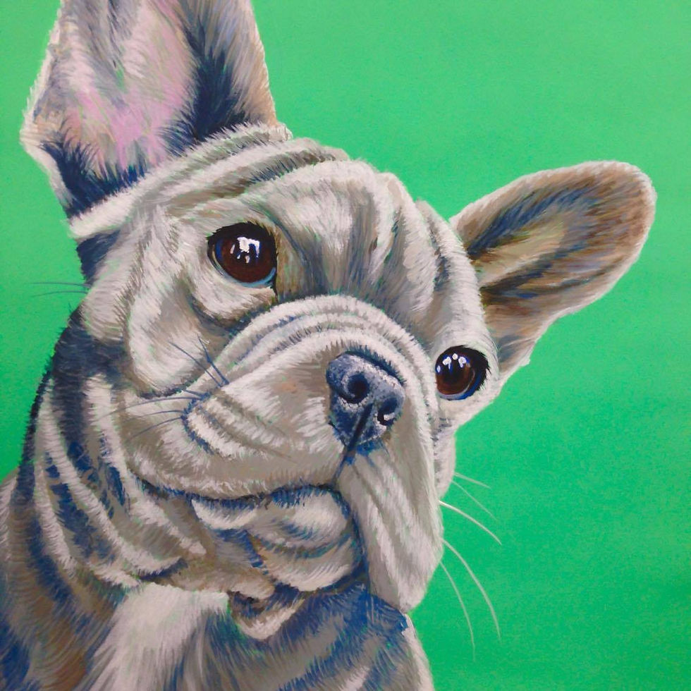 French Bulldog on Emerald