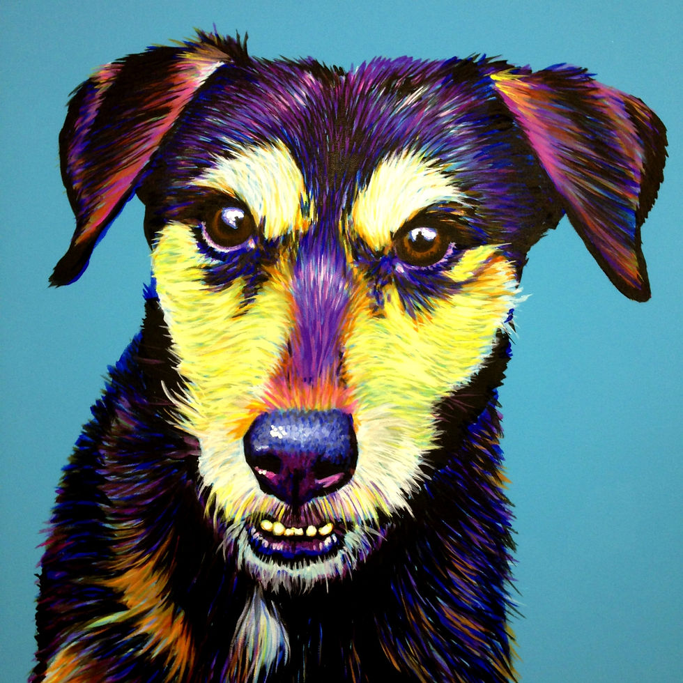 Terrier on Turquoise
