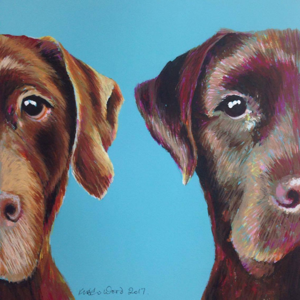 Chocolate Labradors on Turquoise