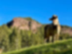 IMG_8673.jpeg