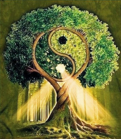 Image of a Yin Yang tree symbolizing balance and harmony in nature, representing holistic wellness and vitality.