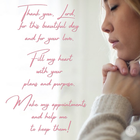IMG_0264.png