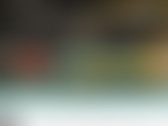 Speech on NSX to The 14th Annual NZRail 2025 conference