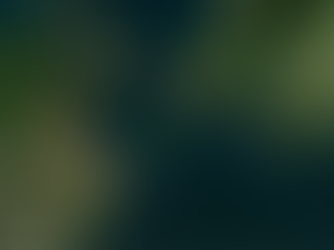 Beginner's guide to North South Express