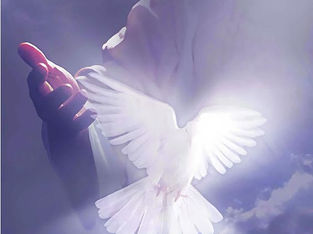 Daily Devotional for February 3