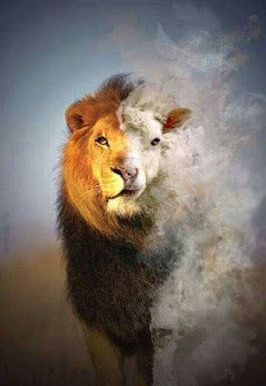 Daily Devotional for October 23