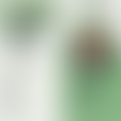 Talkonomics #8: Universal Basic Income in an Entrepreneurial Economy