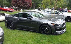 GW GT350 1 (4).jpg
