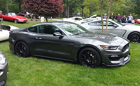 GW GT350 1 (4).jpg