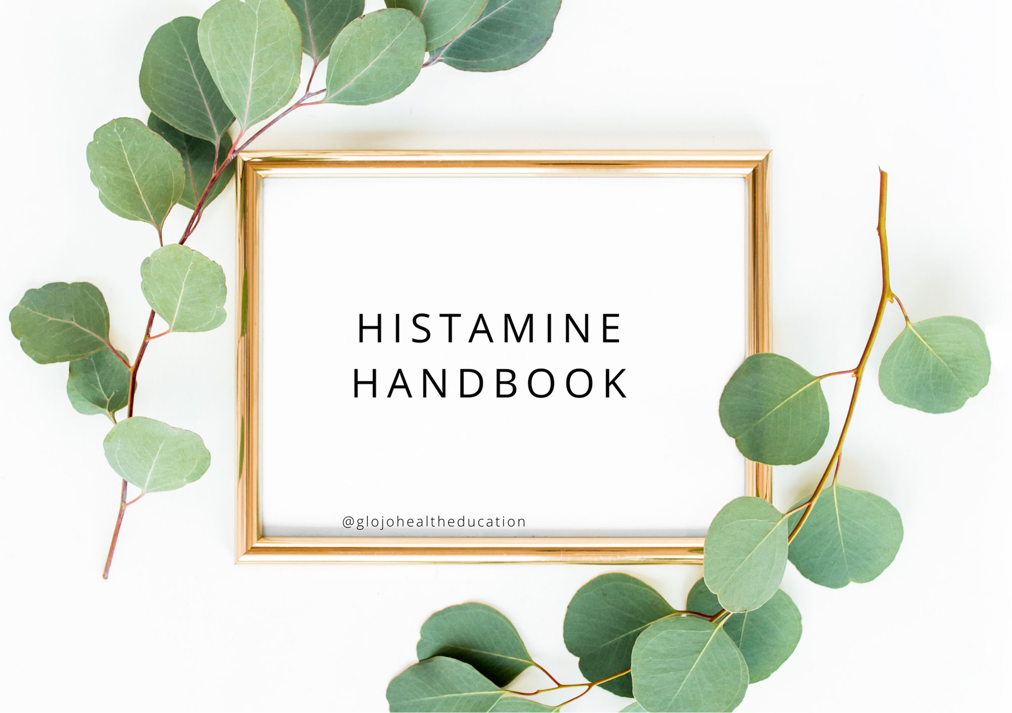 Histamine Handbook - Digital Download / Ebook