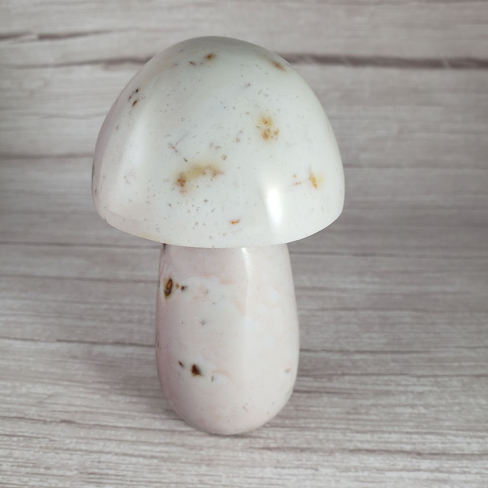 Thumbnail: Mushroom Ocean Jasper L