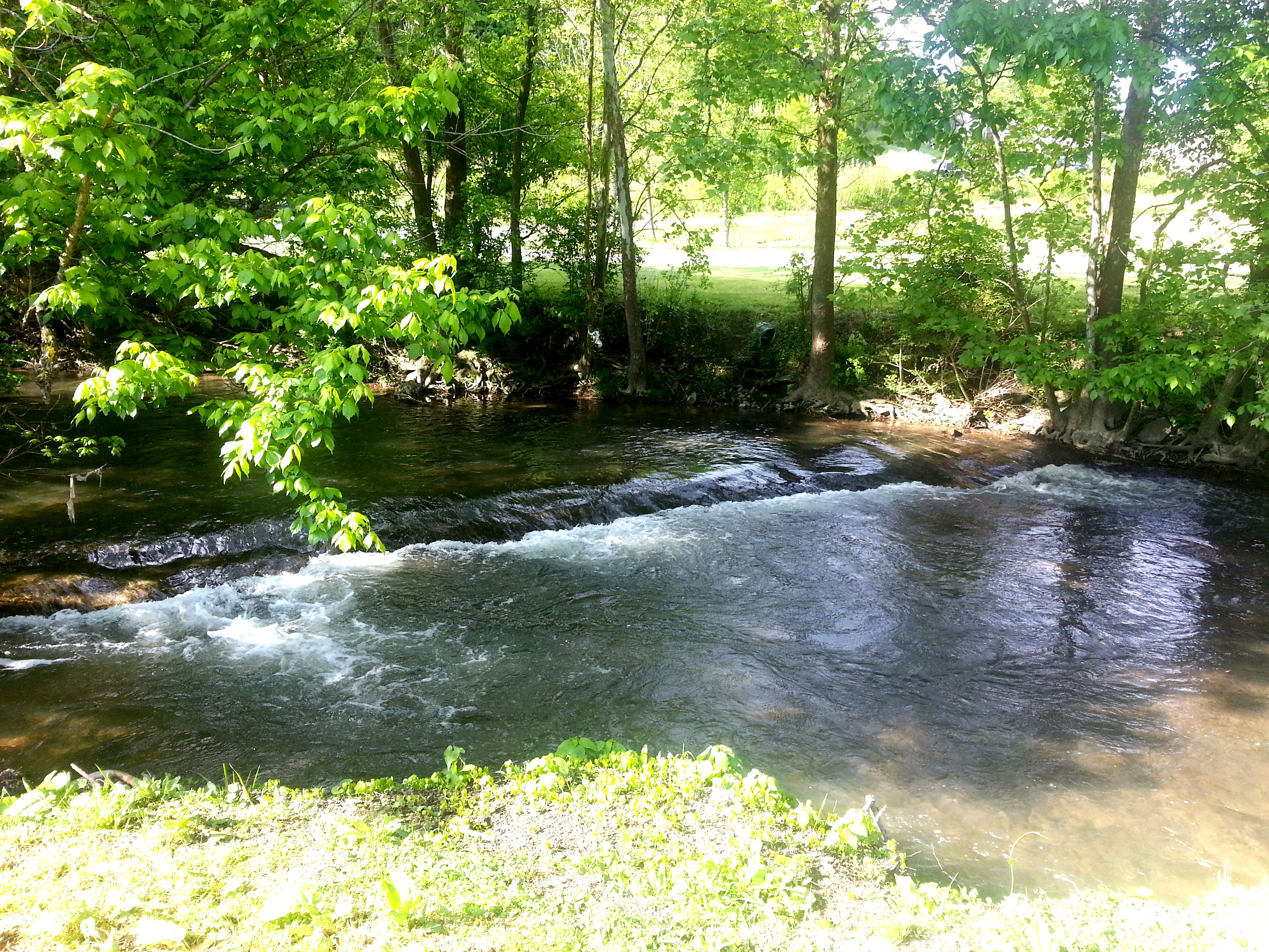 Shadrack Campground - Photo 3