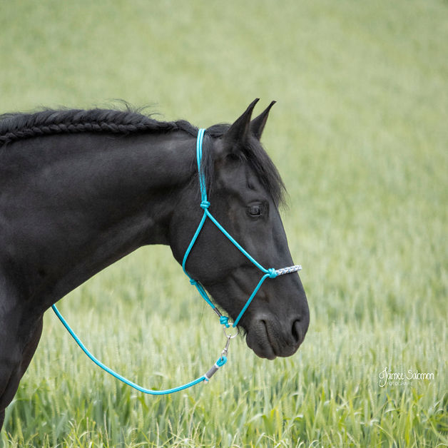 Miniaturbild: Führstrick Aqua light