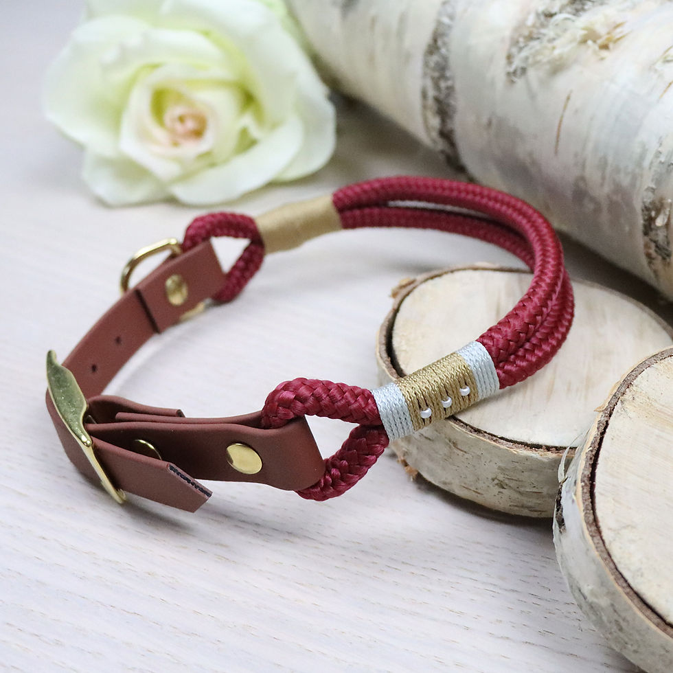 Hundehalsband ohne Namen