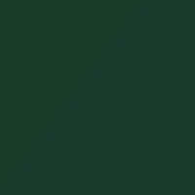 iconstest 2.gif