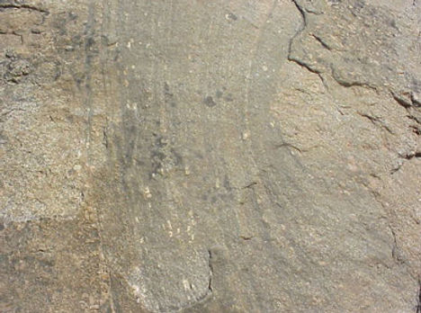 image (2).jpg