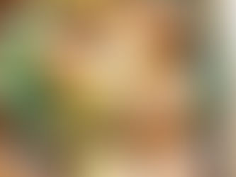 Roasted Chicken Drumsticks