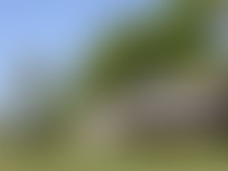 City Limits: What It Takes to Build In the Country