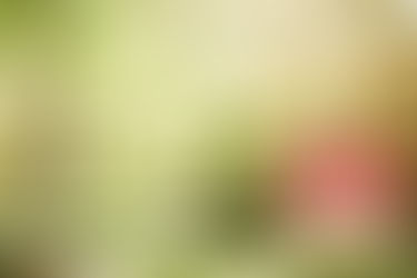 Is There A Perfect Time To Sell Your Home?