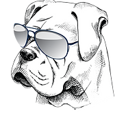 BeCool-1.png